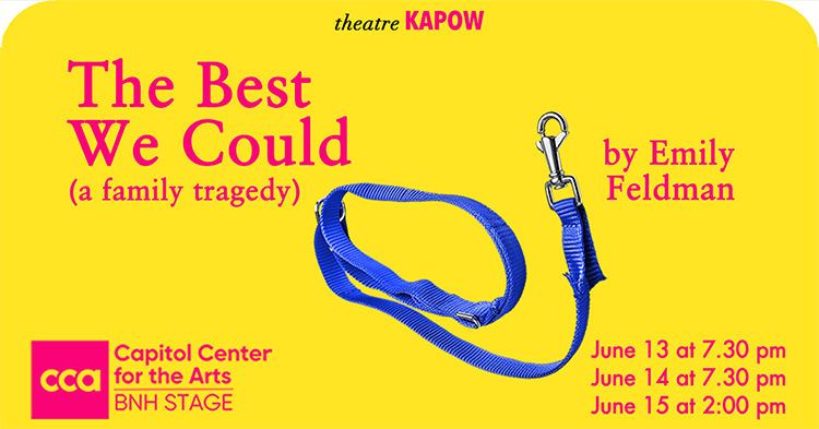 The Best We Could (a family tragedy) by Emily Feldman